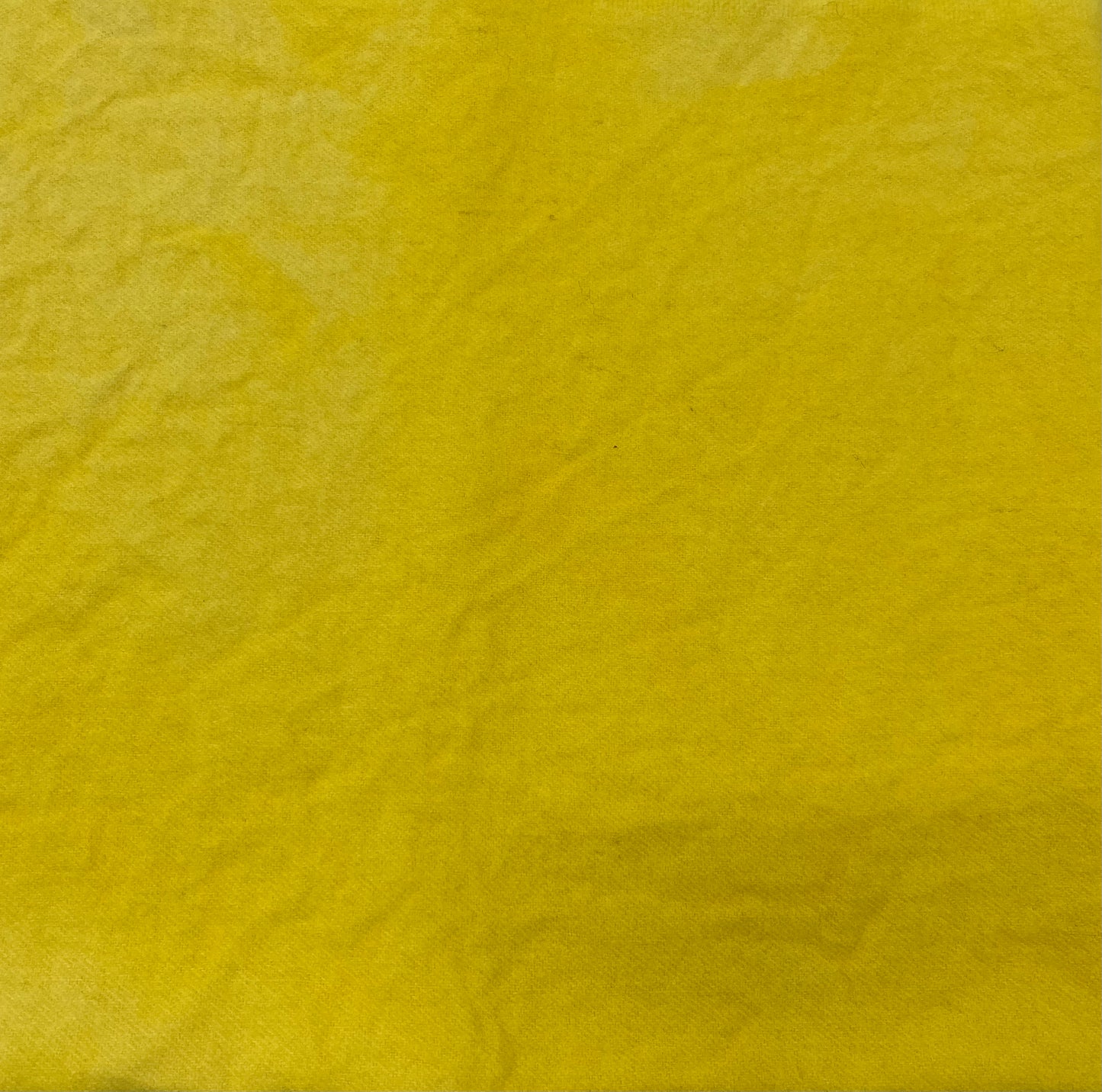 Dyed Wool - Lemon