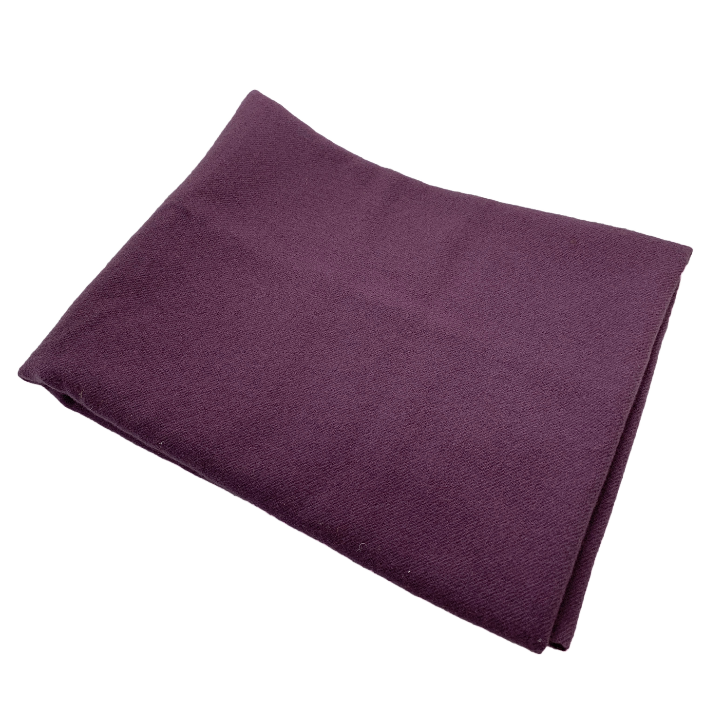 Purple Aster