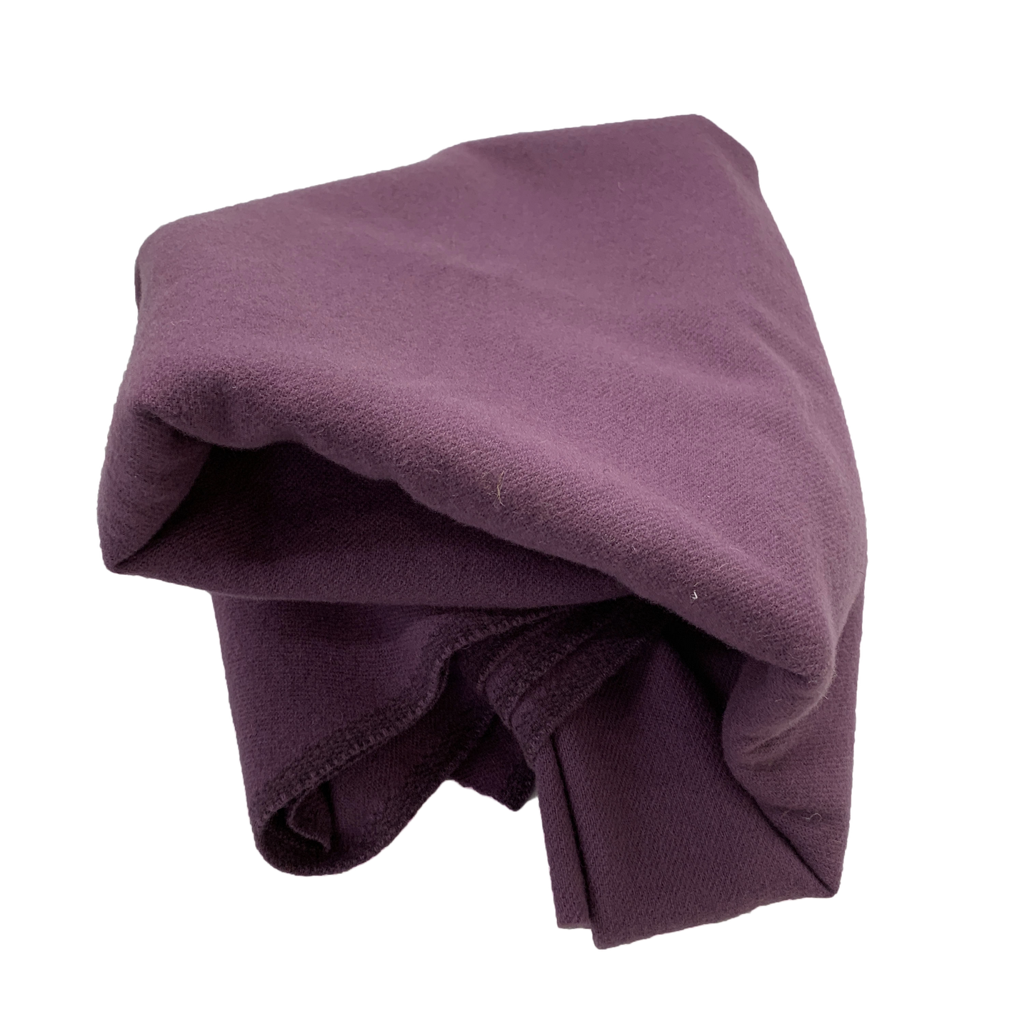Purple Aster