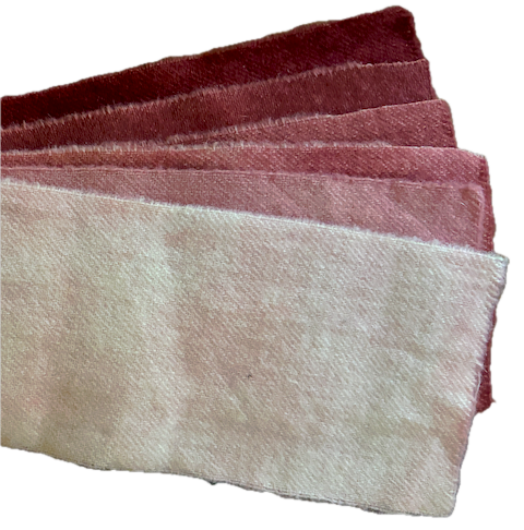 Ducharme Swatches - JT-64 Soft Rose