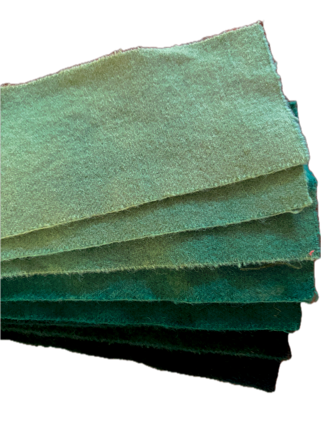 Green Mountain Swatch - Tree Frog