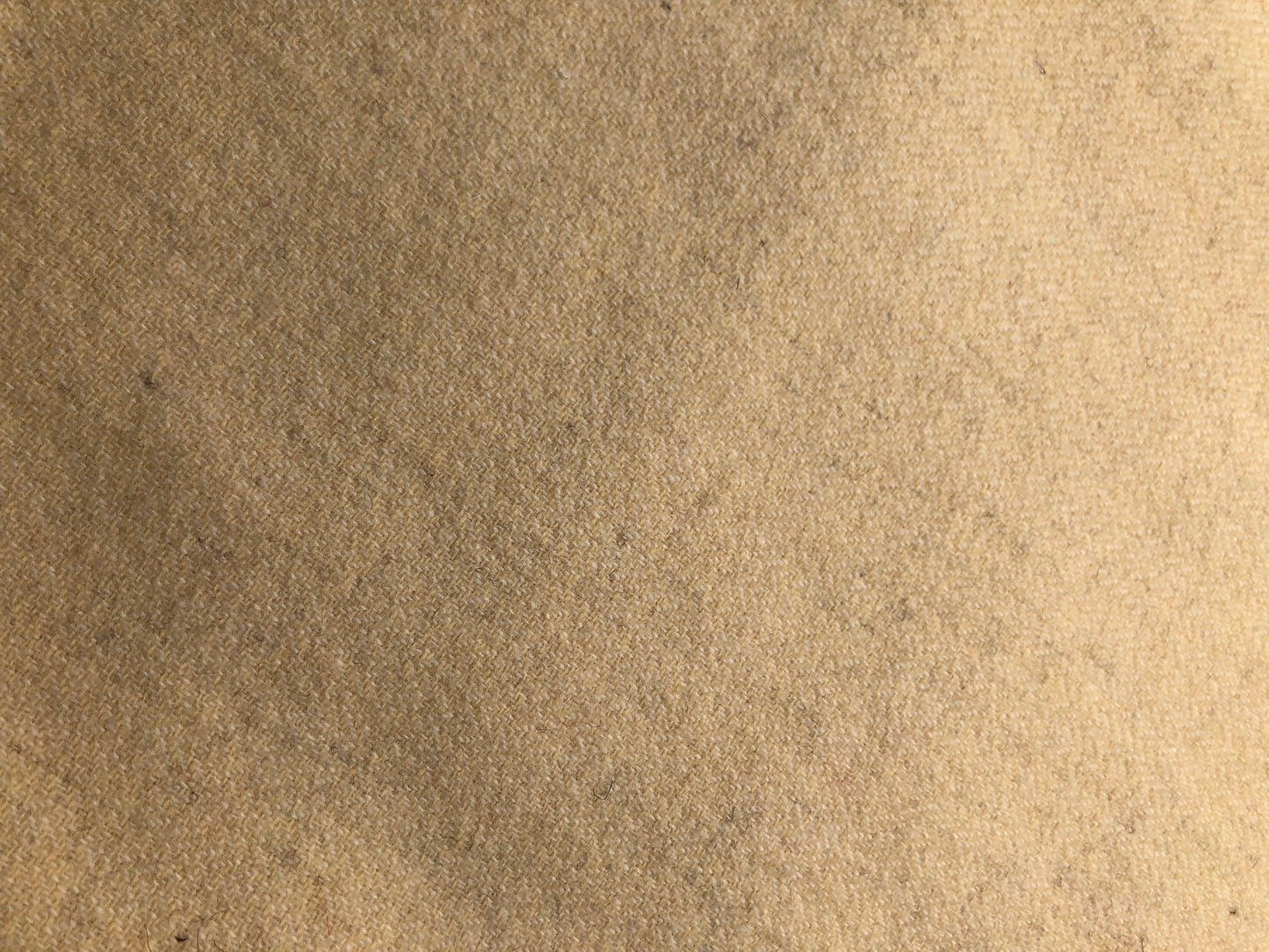 French Vanilla