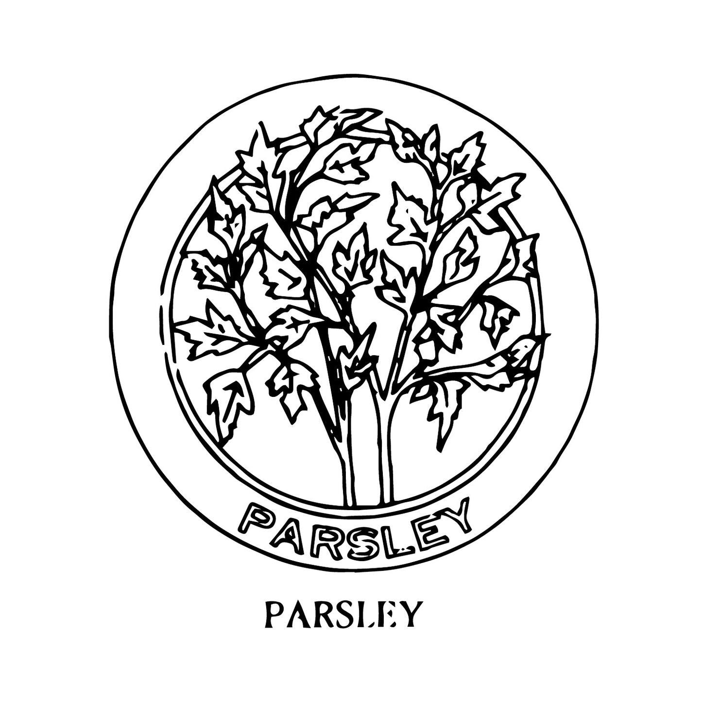 DiFranza Designs - Parsley Herb Chair Seat - Rug Hooking Supplies