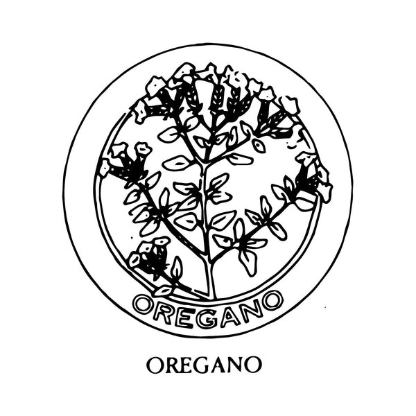 DiFranza Designs - Oregano Herb Chair Seat - Rug Hooking Supplies