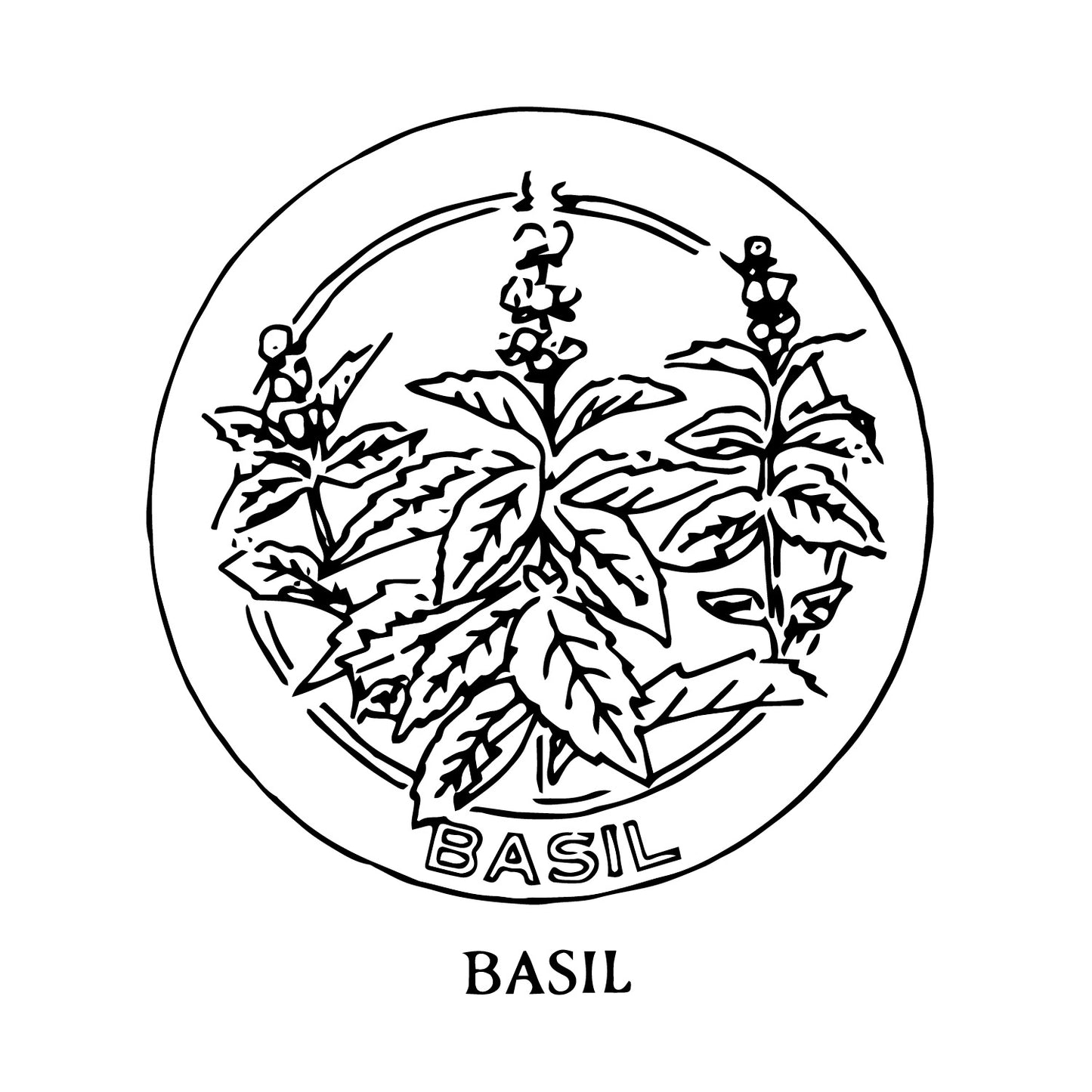 DiFranza Designs - Basil Herb Chair Seat - Rug Hooking Supplies