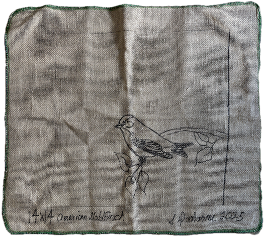 Ducharme - American Goldfinch 14X14