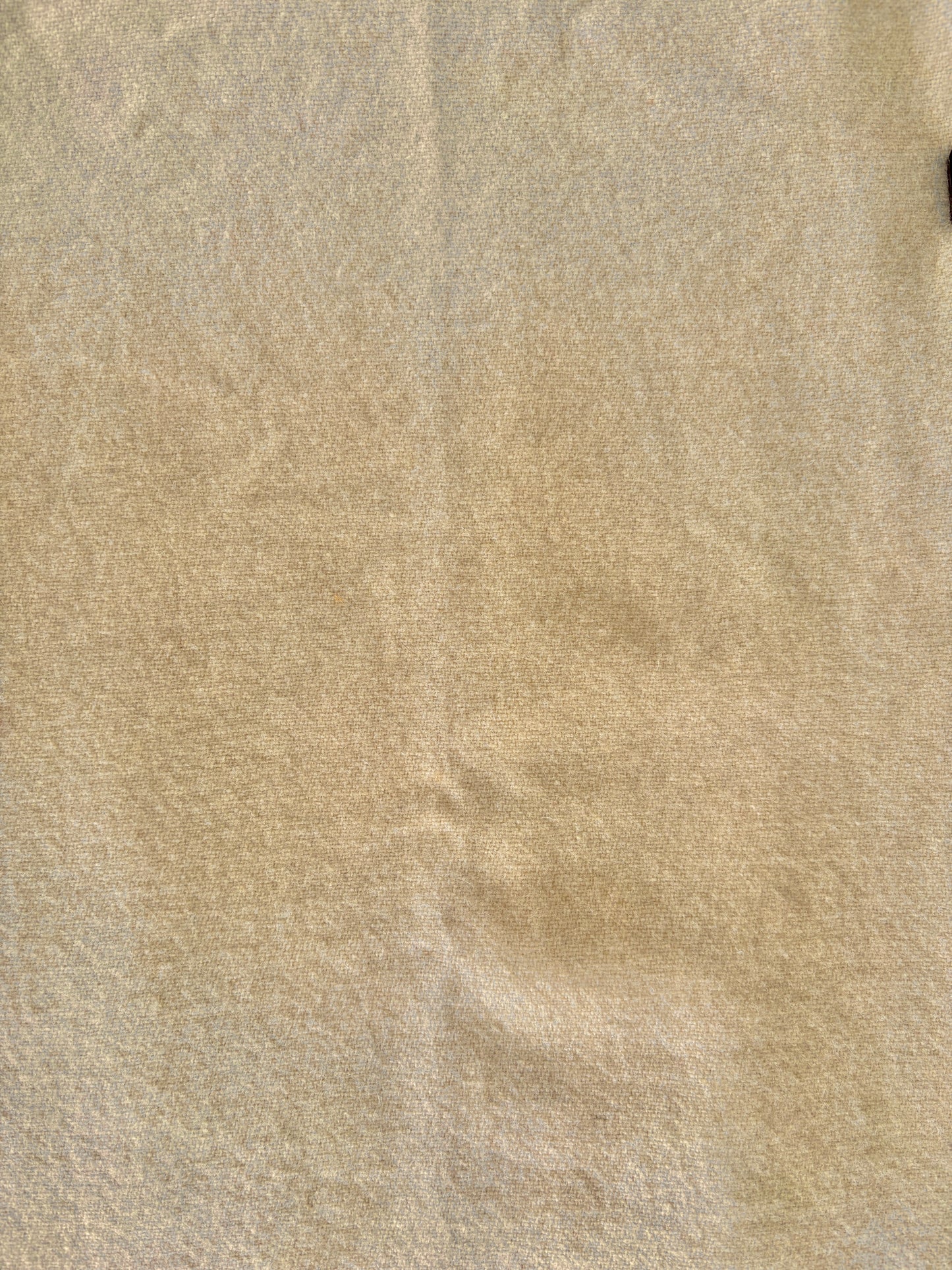 Spot Dye - B-10