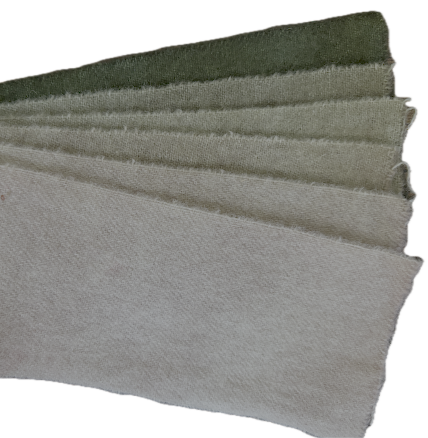 Ducharme Swatches - JT-56 Coleus