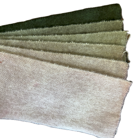Ducharme Swatches - JT-56 Coleus
