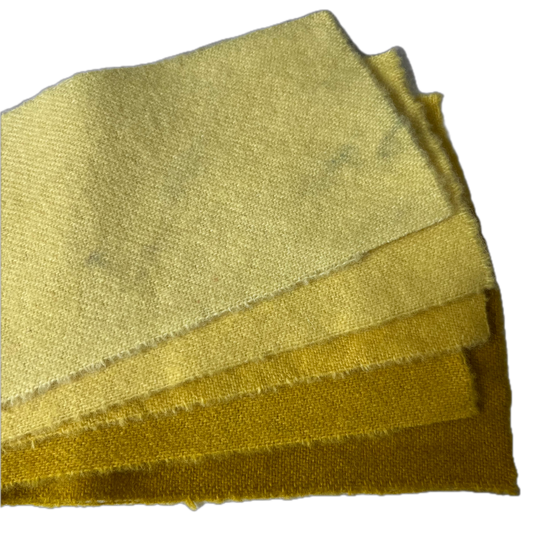 Ducharme Swatches - JAC Yellow