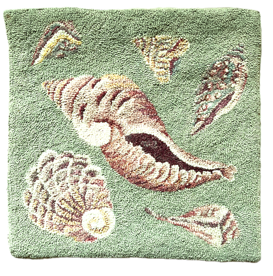 Sea Shells
