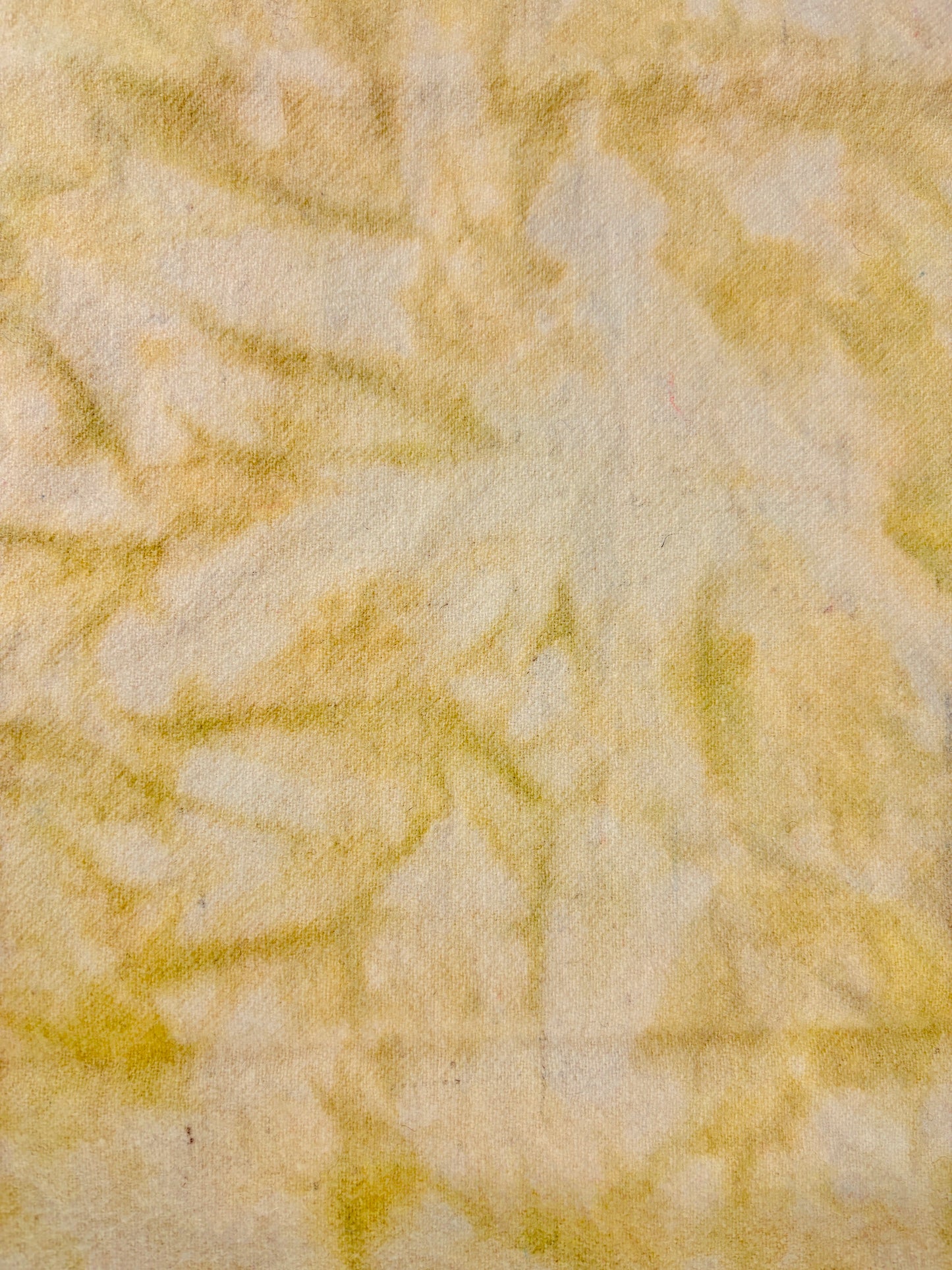 Spot Dye - T-13