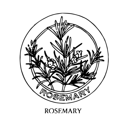 DiFranza Designs - Rosemary Herb Chair Seat - Rug Hooking Supplies