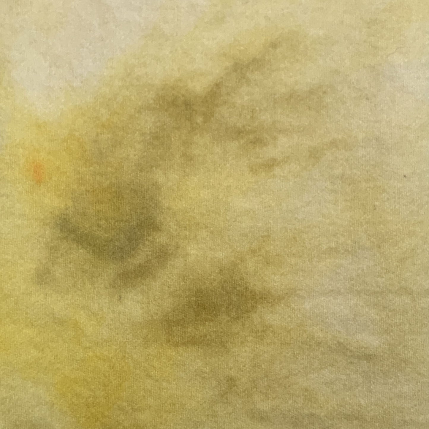 Spot Dye - Y-4